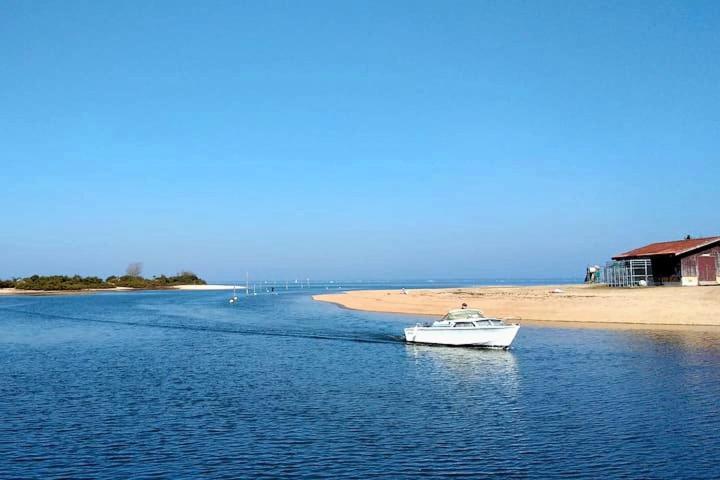 Guesthouse Bassin D'Arcachon La Teste-de-Buch Zewnętrze zdjęcie